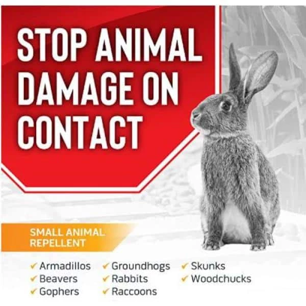 ANIMAL STOPPERS Animal Repellent, 2.5# Ready-to-Use Granular ShakerJug - Image 2