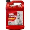 ANIMAL STOPPERS Animal Stopper Animal Repellent, Gallon Ready-to-Use with Nested Sprayer