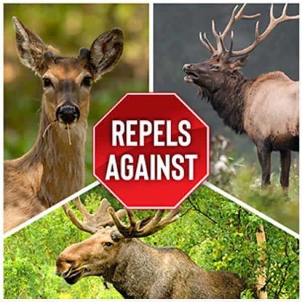 ANIMAL STOPPERS Deer Stopper Animal Repellent, Gallon Ready-to-Use with Nested Sprayer - Image 4