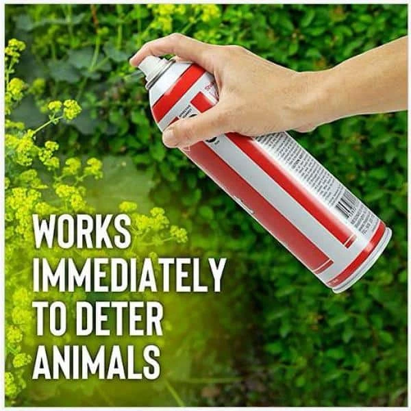 ANIMAL STOPPERS Squirrel Stopper Repellent, 32 oz. Ready-to-Use - Image 4