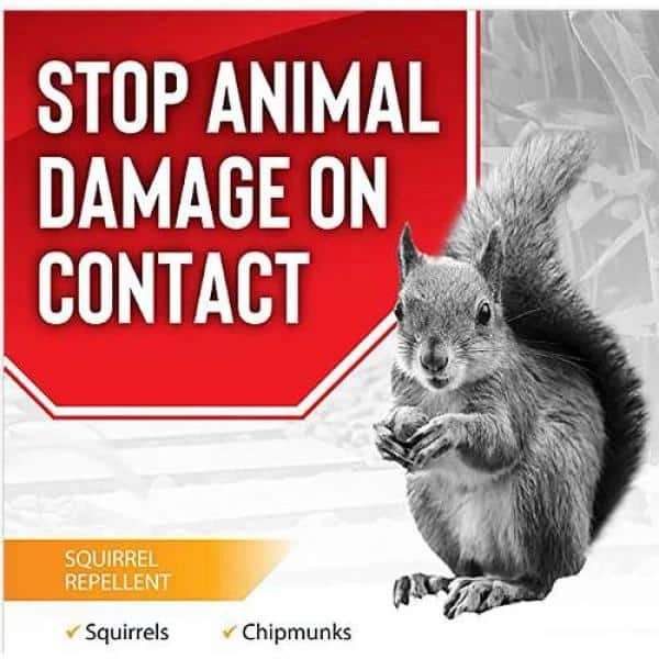 ANIMAL STOPPERS Squirrel Stopper Repellent, 32 oz. Ready-to-Use - Image 2