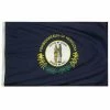 Annin Flagmakers 5 ft. x 8 ft. Nylon Kentucky State Flag