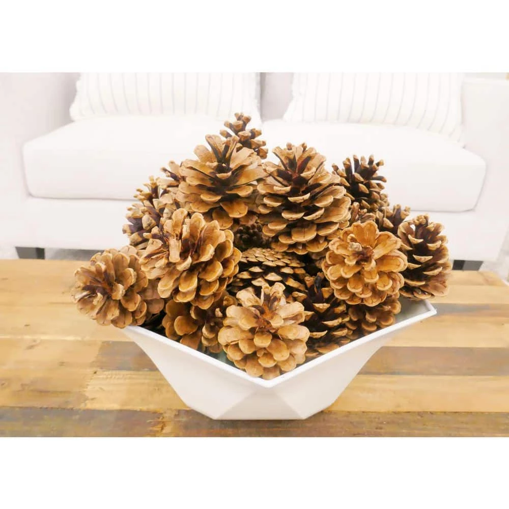 BELL NURSERY Cinnamon Pine Cone Bag - Image 4