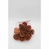BELL NURSERY Cinnamon Pine Cone Bag