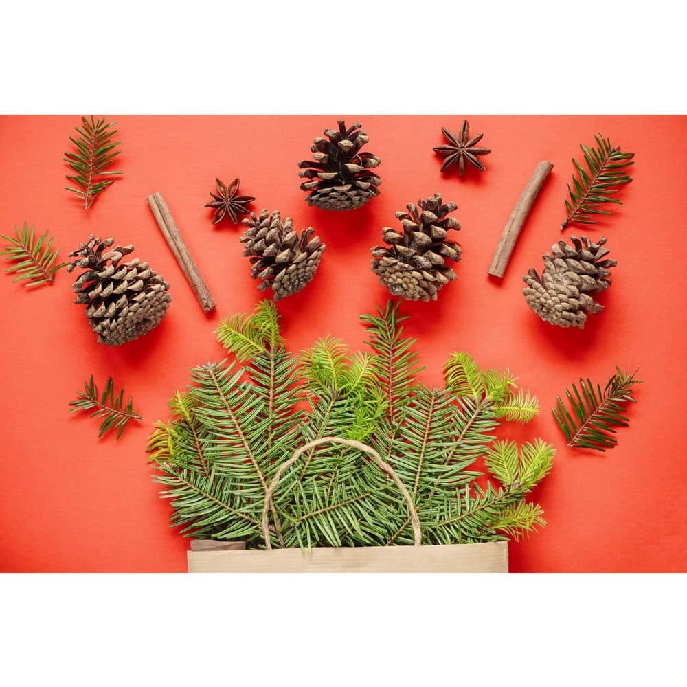 BELL NURSERY Cinnamon Pine Cone Bag - Image 2