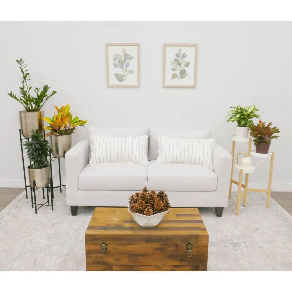 BELL NURSERY Cinnamon Pine Cone Bag - Image 3